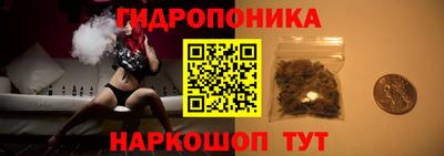 молекула духа Новодвинск